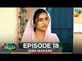 Download Lagu Zara Yaad Kar Episode 18