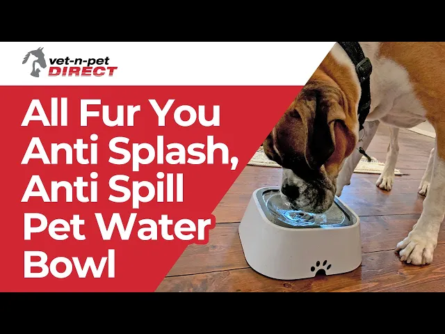 All Fur You Anti Splash, Anti Spill Pet Water Bowl