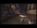 Evolve Torvald Basic and Advanced Tutorials