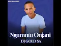 Download Lagu Ngumntu Onjani - ( DJ GOLD SA )