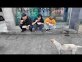 Download Lagu Jollibee vs CVS vs K-Chicken (We went to Manila to try #1 Fastfood Chicken in the World!) [ENG CC]