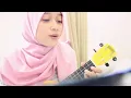 SImple Plan - Perfect Cover Dinda Firdausa