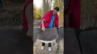 کی گفته خر نمی فهمه مارو حمایت کنید Mrtall خندارترین Funny طنز فان 