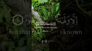  مدد دندنها