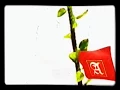 Download Lagu Iklan Rokok A Mild - Tarzan (1995) @ RCTI \u0026 SCTV