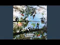 Download Lagu Down to Earth