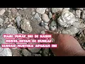 Download Lagu Zwarte steen gevonden in de Lukulo-rivier, Kebumen