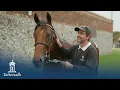 Tattersalls October Yearling Sale Book 2 Day 3 2025 Review