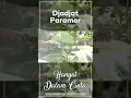 Djadjat Paramor - Hanyut Dalam Cinta #Shorts