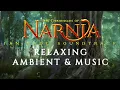 Download Lagu The Chronicles of Narnia - Relaxing Ambient \u0026 Music - William Maytook