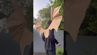 Asas de papelao