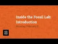 Inside the Fossil Lab Introduction
