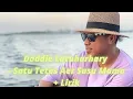Download Lagu Doddie Latuharhary - Satu Tetes Aer Susu Mama + Lirik