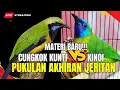 Lagu MASTERAN PALING LARIS DI GANTANGAN! GEREJA TARUNG - TENGKEK BUTO - CUNGKOK MENJERIT