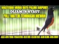 Download Lagu MASTERAN PAGI HARI MURAI BATU ISIAN CILILIN KAPAS TEMBAK CUCAK JENGOT CIBLEK PRENJAK BETINA JANGKRIK