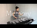 Download Lagu 비브라폰으로 연주하는 Memory × CATS / Vibraphone cover