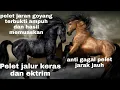Download Lagu Minyak pelet jaran goyang versi baru, ektrim dan terbukti ampuh ektrim, wanita bisa ed4n