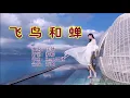 任然 《飞鸟和蝉》 （伴奏）KTV 导唱字幕
