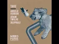 Take (Radio Edit)