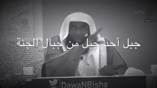 إهتزاز جبل أحد إحتراما  وتوقير ا لنبينا محمد ﷺ  الشيخ بدر المشاري  دندنها