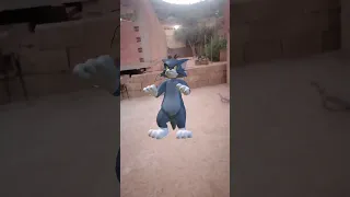 دروله ابوني دندنها