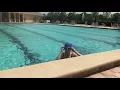 Tampa Palms heated Junior-Olympic sized pool More laps less donuts