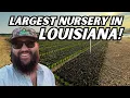 Inside Louisiana s LARGEST Wholesale Plant Nursery The 2025 Fall Nursery Tour Ep 2