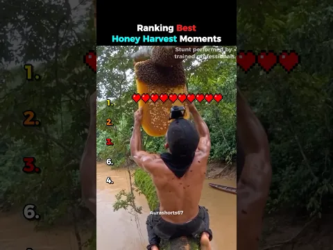 Ranking Best Honey Harvest Moments