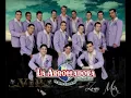 La Arrolladora Banda El Limon- Los Tres Pelones