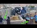 Download Lagu A Hard Working Day for Mother Alone! 🏠 Unloading Sand from Nissan, Cooking \u0026 Animal Care