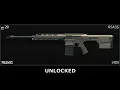 How to get RSASS in Tarkov