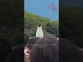 250706 田馥甄 - 乘著無人光影的遠行 @〈田調〉Live in Life 野地小巡演 最終場 in 南投埔里暨南大學