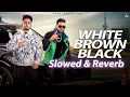 White Brown Black - Avvy Sra | Karan Aujla | Jaani | Amanninder Singh | Desi Melodies