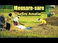 Download Lagu Lagu Aceh Terbaru - Meusare sare - Safira Amalia (Lirik)