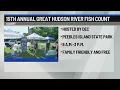 19th annual Great Hudson River Fish Count happening July 31