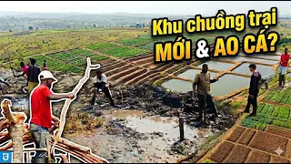 Quang Dũng || Mô Hình Vườn Ao Chuồng Đang Từng Bước Hình Thành Theo Cách Đơn Giản Nhất