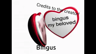 Bingus my beloved