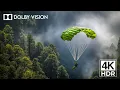 The Most REAL 4K R Dolby Vision in 60FPS Nature