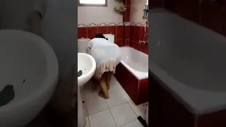 روتين تنظيف الحمام 