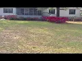 1613 Central Ave Steinhatchee FL Presented by Dewey Hatcher
