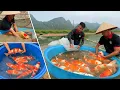Download Lagu Raising KOI FISH in a HIDDEN KOI POND under the MOUNTAIN