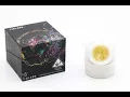 710 - Persy Tier 4