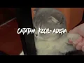 Download Lagu Catatan kecil - Adera (speed song) Download Lagu Catatan kecil - Adera (speed song)