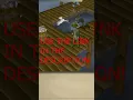 Lagu I GOT MY FIRST PET BOTTING! #botting #osrs #shorts