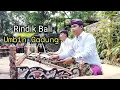 Download Lagu Rindik Tabuh Umbin Gadung - Tengah Suasana Pasar Intaran 🌿
