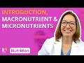Introduction Overview of Nutrients - Nutrition Essentials LevelUpRN