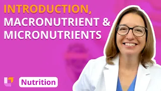 Introduction Overview of Nutrients - Nutrition Essentials LevelUpRN