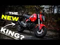 New Honda Grom 125 Review Better than the Monkey Dax Super Cub Motorcycles