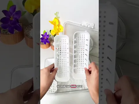 Food Container 4 Sekat vs 9 Sekat 🍱 Mana yang Cocok untuk Kebutuhanmu?