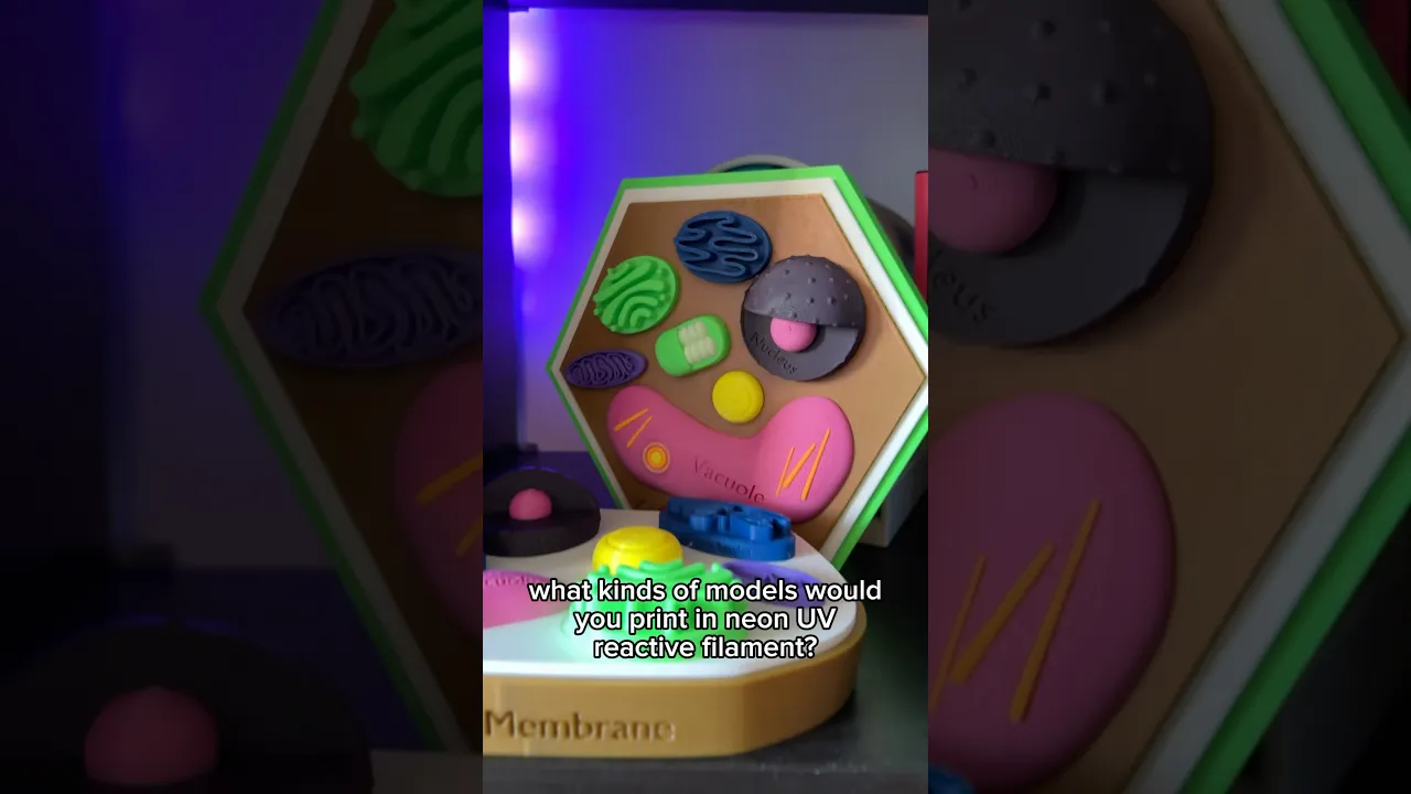 Plant Cell Model w/ Labels video thumbnail